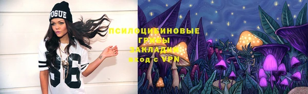 гидропоника Елабуга