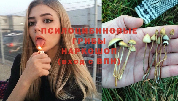 наркотики Ельня
