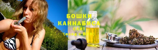 гидропоника Елабуга