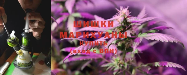 гидропоника Елабуга