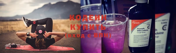 соль ск Дмитриев