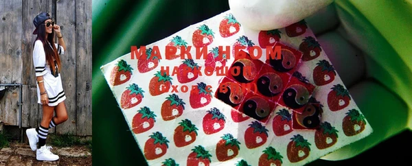 гидропоника Елабуга