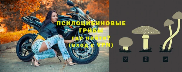 герыч Дмитров