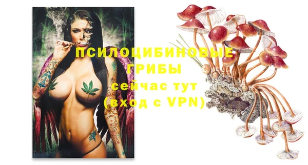 наркотики Ельня