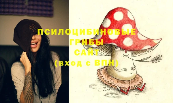 наркотики Ельня