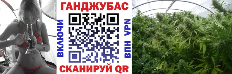 Бошки марихуана конопля Дубна